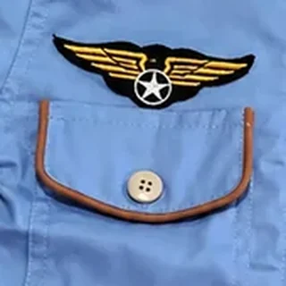 Emblema de asas de aviador